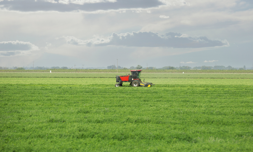 mcg agro farm organic food islamabad